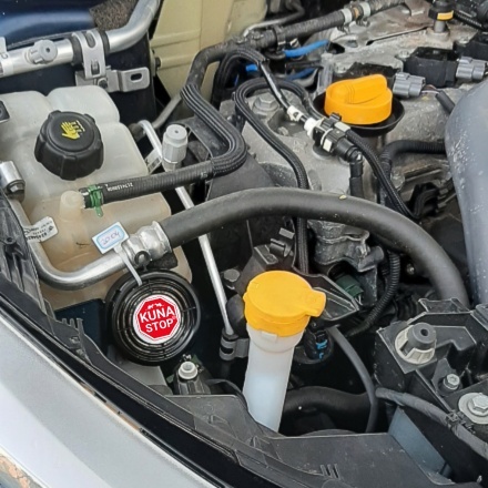 2 x KUNA STOP DO SAMOCHODU. WZMOCNIJ OCHRONĘ PO ATAKU. DWIE SZTUKI