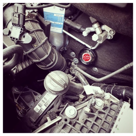 2 x KUNA STOP DO SAMOCHODU. WZMOCNIJ OCHRONĘ PO ATAKU. DWIE SZTUKI