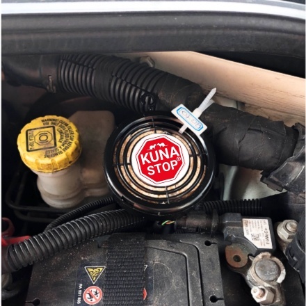 NAJLEPSZY SPOSÓB NA KUNY DO SAMOCHODU ! 1 SZTUKA