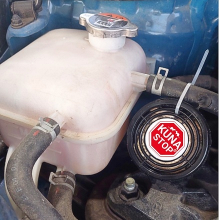 NAJLEPSZY SPOSÓB NA KUNY DO SAMOCHODU ! 1 SZTUKA