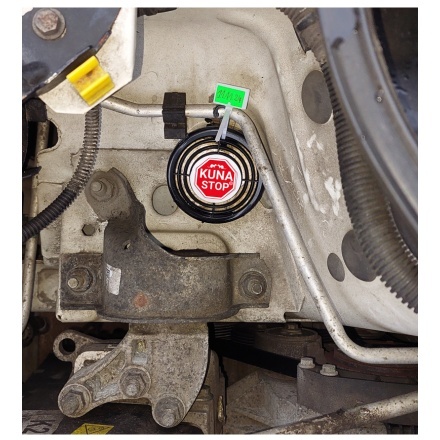 NAJLEPSZY SPOSÓB NA KUNY DO SAMOCHODU ! 1 SZTUKA