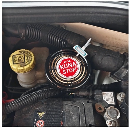 NAJLEPSZY SPOSÓB NA KUNY DO SAMOCHODU ! 1 SZTUKA