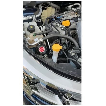 ZESTAW 2x KUNA STOP NAJLEPSZY SPOSÓB PO ATAKU KUNY