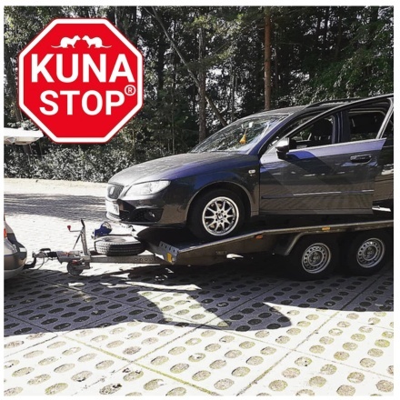 ZESTAW 2x KUNA STOP NAJLEPSZY SPOSÓB PO ATAKU KUNY