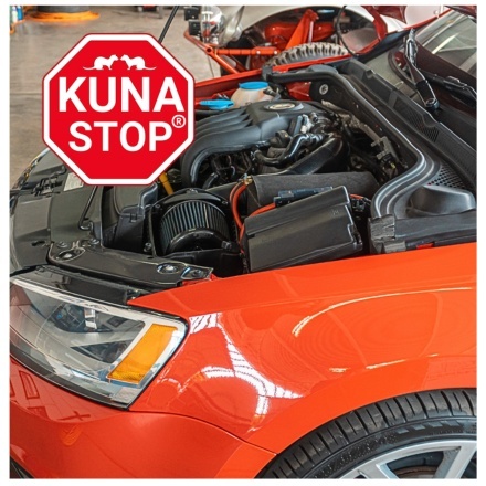 ZESTAW 3 X KUNA STOP NAJLEPSZY PO ATAKU KUNY