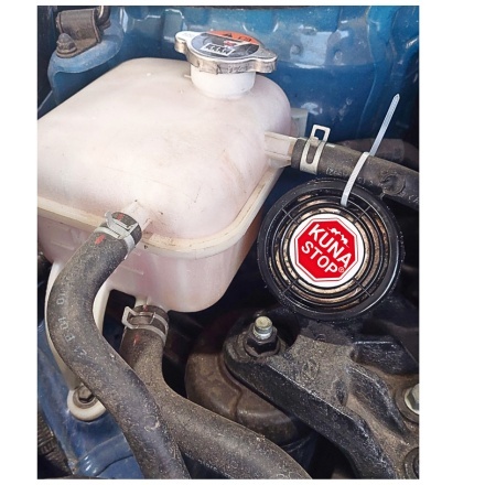 ZESTAW 3 X KUNA STOP NAJLEPSZY PO ATAKU KUNY