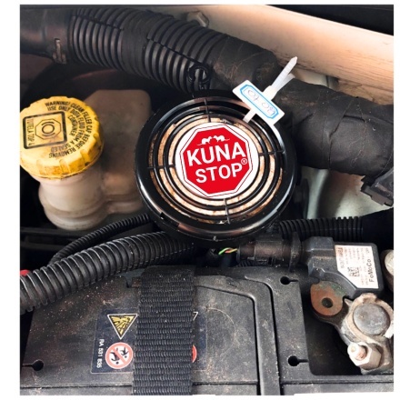 ZESTAW 3 x KUNA STOP NAJLEPSZY PO ATAKU KUNY