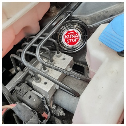 ZESTAW 3 x KUNA STOP NAJLEPSZY PO ATAKU KUNY