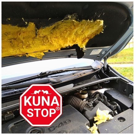 ZESTAW 3 x KUNA STOP NAJLEPSZY PO ATAKU KUNY