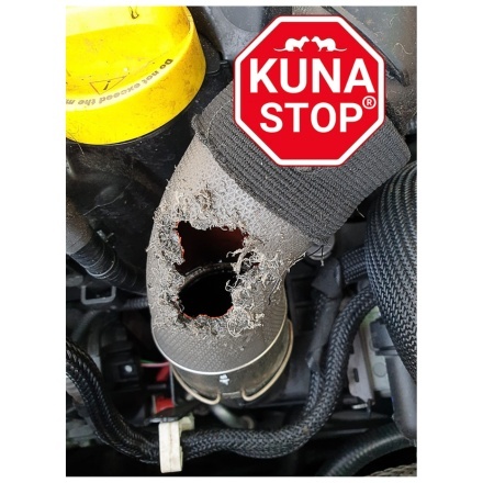 ZESTAW 3 X KUNA STOP NAJLEPSZY SPOSÓB PO ATAKU KUNY