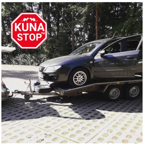 środek na kuny środek na kuny